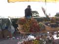Stand de fleurs séchées