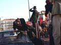 Les géants de Malabar